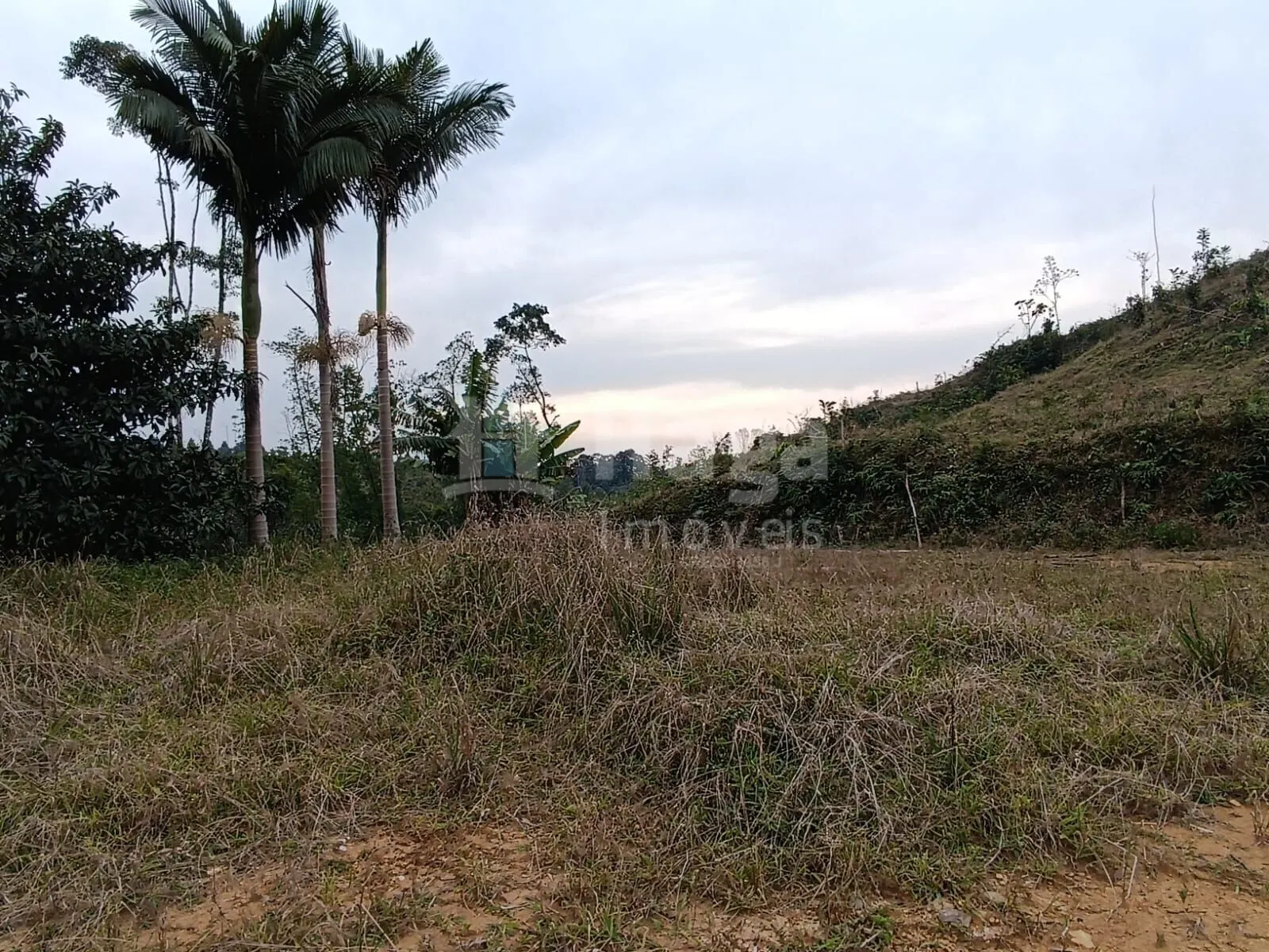 Fazenda à venda de 2 ha em Botuverá, SC, Brasil