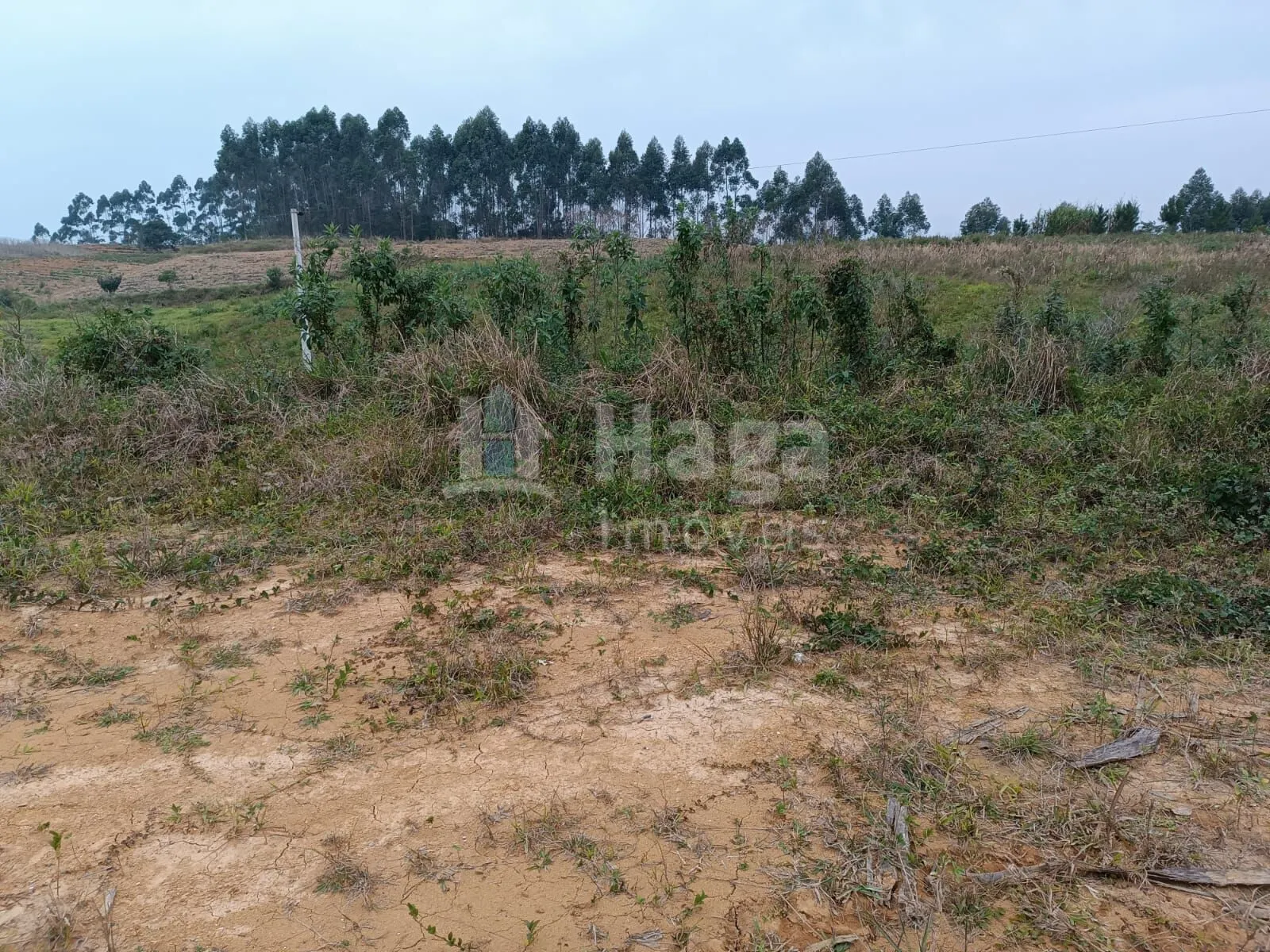 Fazenda à venda de 2 ha em Botuverá, SC, Brasil