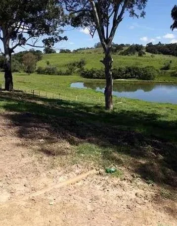Fazenda à venda de 300 ha em Itapetininga, SP, Brasil