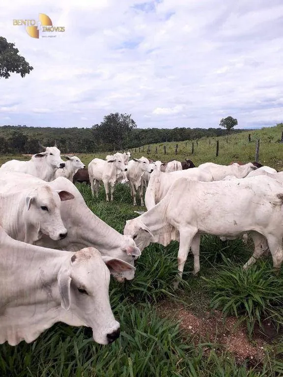 Fazenda à venda de 105 ha em Cuiabá, MT, Brasil