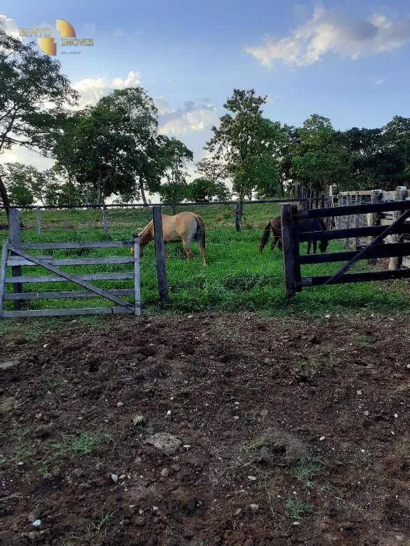 Fazenda à venda de 105 ha em Cuiabá, MT, Brasil