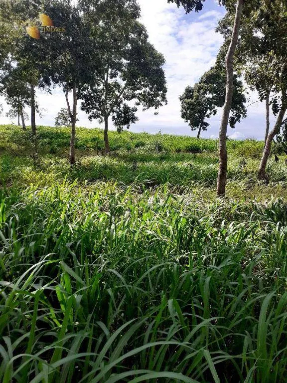 Fazenda à venda de 105 ha em Cuiabá, MT, Brasil