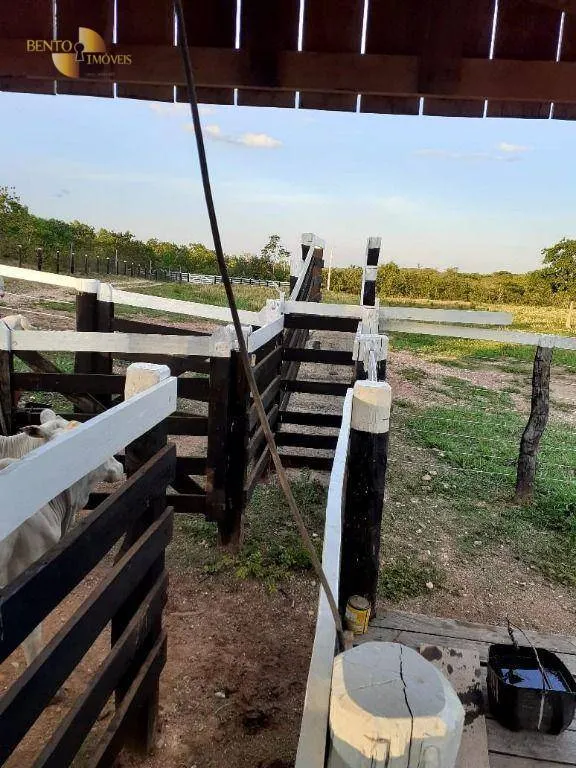 Fazenda à venda de 105 ha em Cuiabá, MT, Brasil