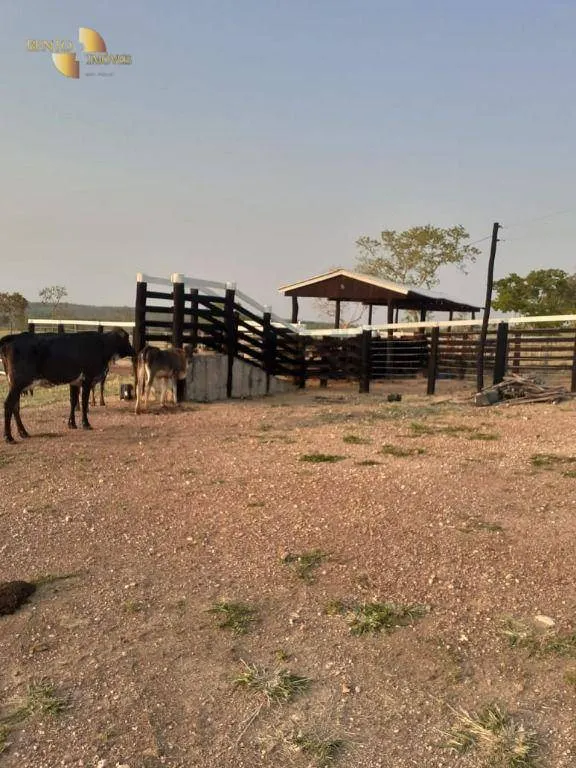 Fazenda à venda de 105 ha em Cuiabá, MT, Brasil