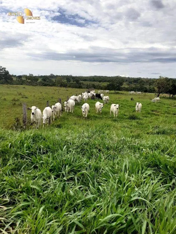 Fazenda à venda de 105 ha em Cuiabá, MT, Brasil