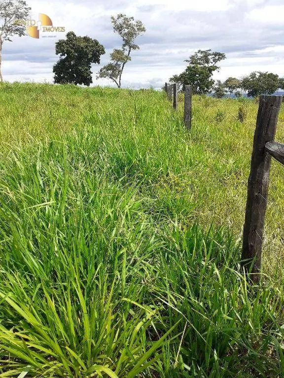 Fazenda à venda de 105 ha em Cuiabá, MT, Brasil