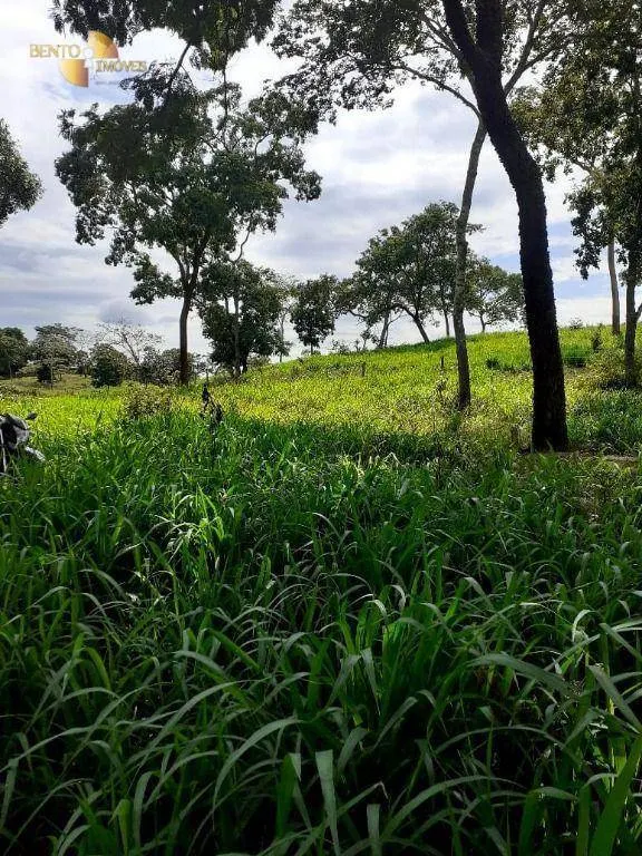 Fazenda à venda de 105 ha em Cuiabá, MT, Brasil