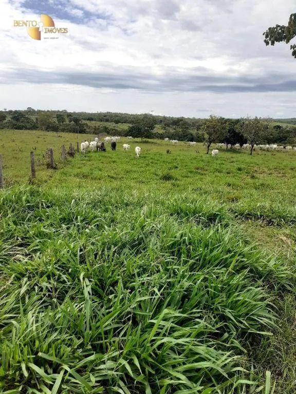 Fazenda à venda de 105 ha em Cuiabá, MT, Brasil