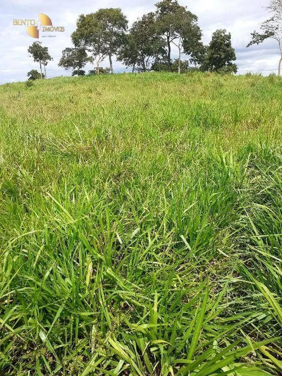 Fazenda à venda de 105 ha em Cuiabá, MT, Brasil