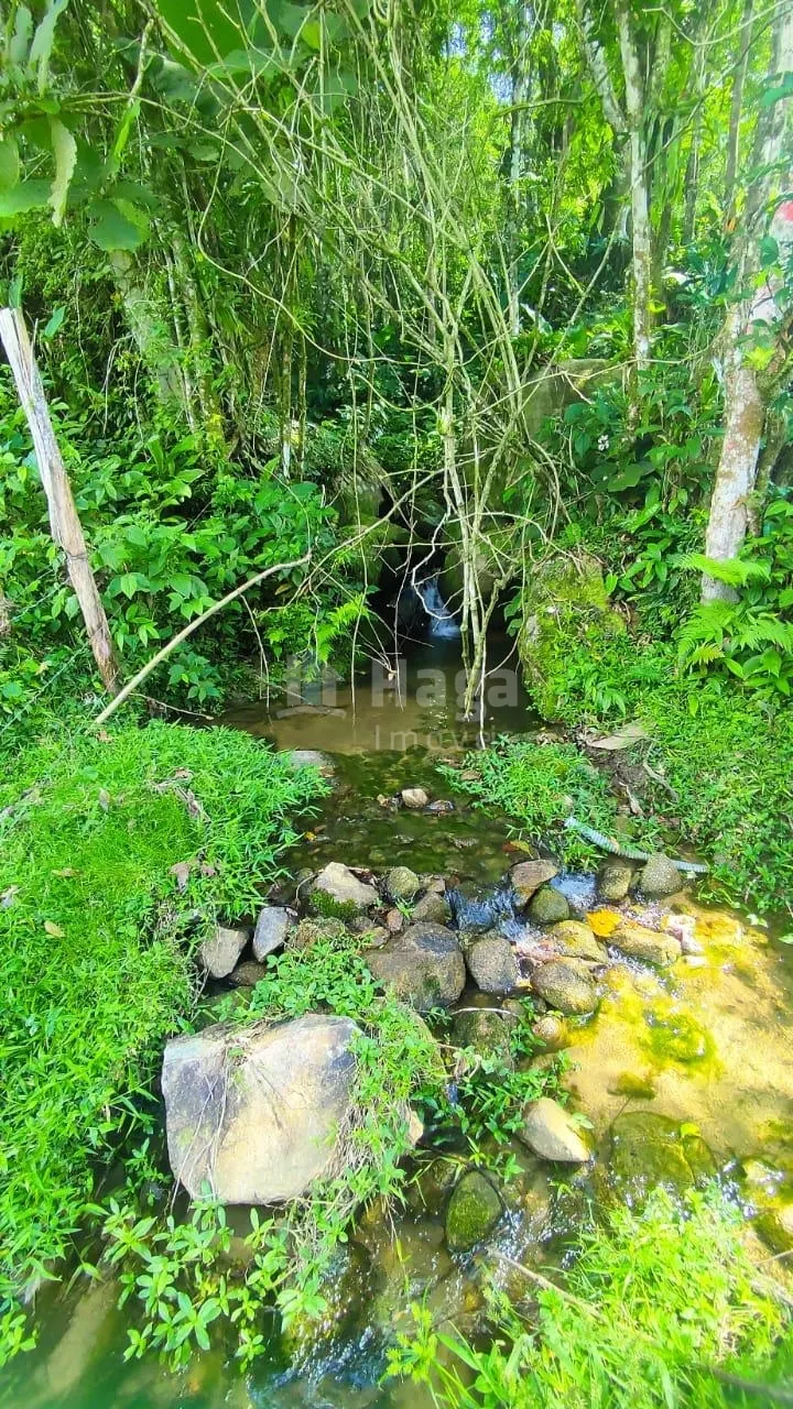 Fazenda à venda de 4 ha em Nova Trento, SC, Brasil