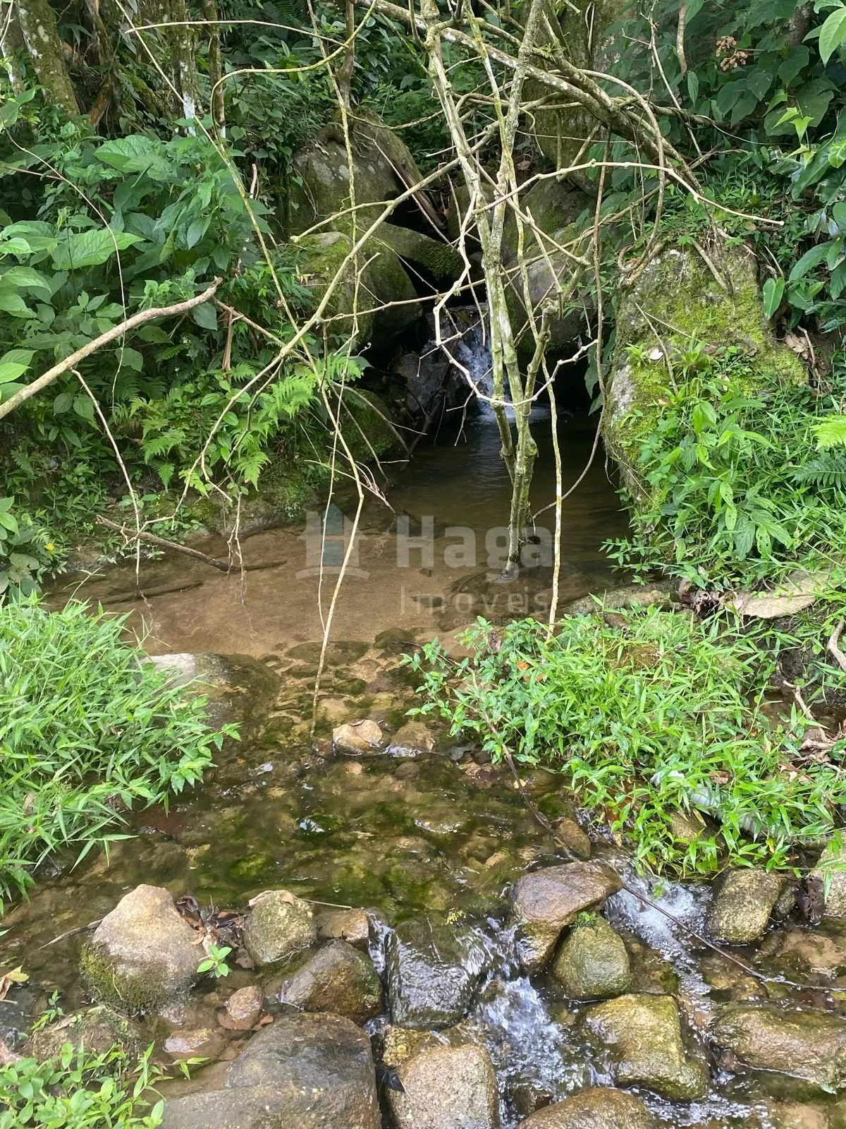 Fazenda à venda de 4 ha em Nova Trento, SC, Brasil
