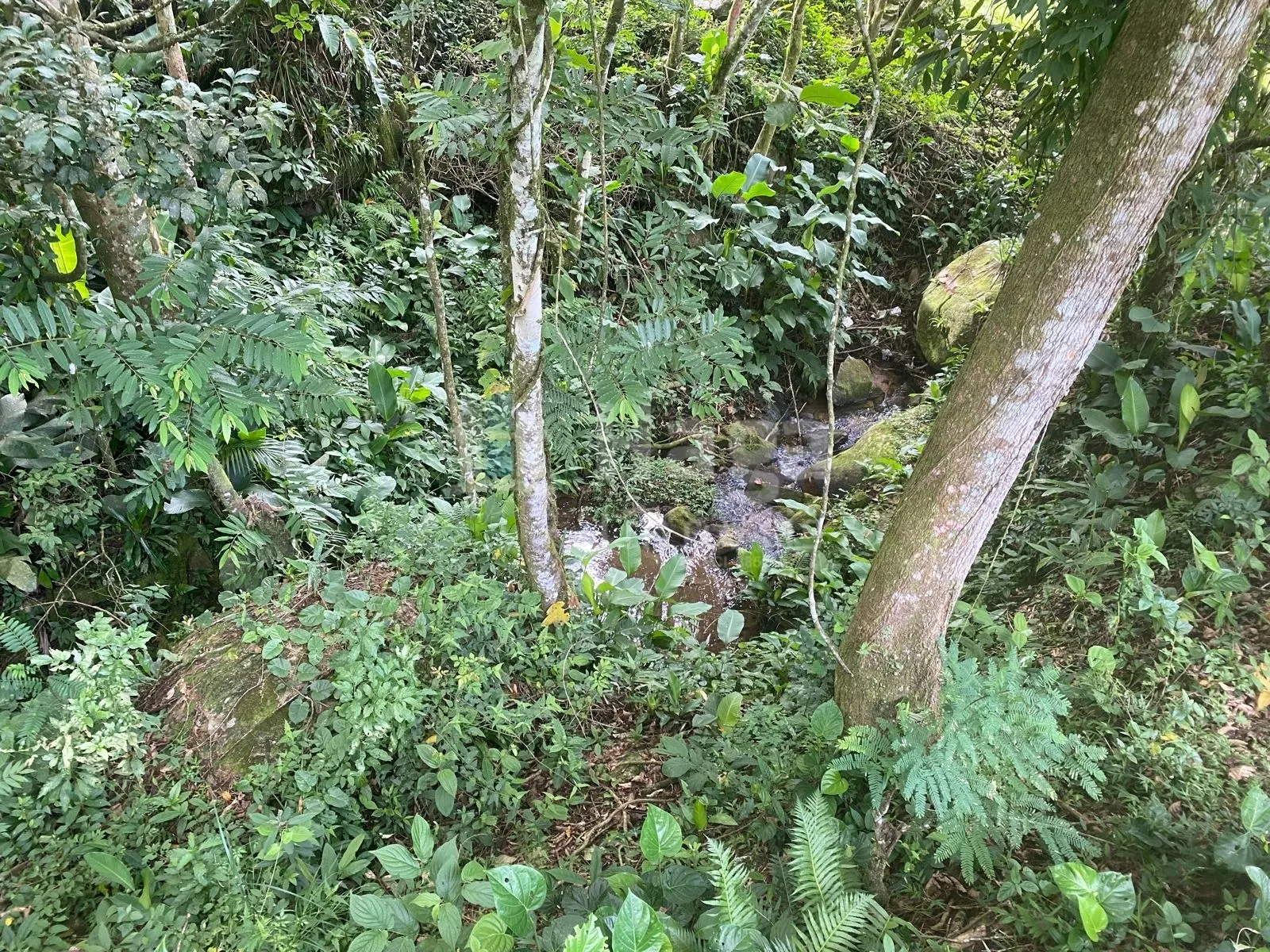 Fazenda à venda de 4 ha em Nova Trento, SC, Brasil