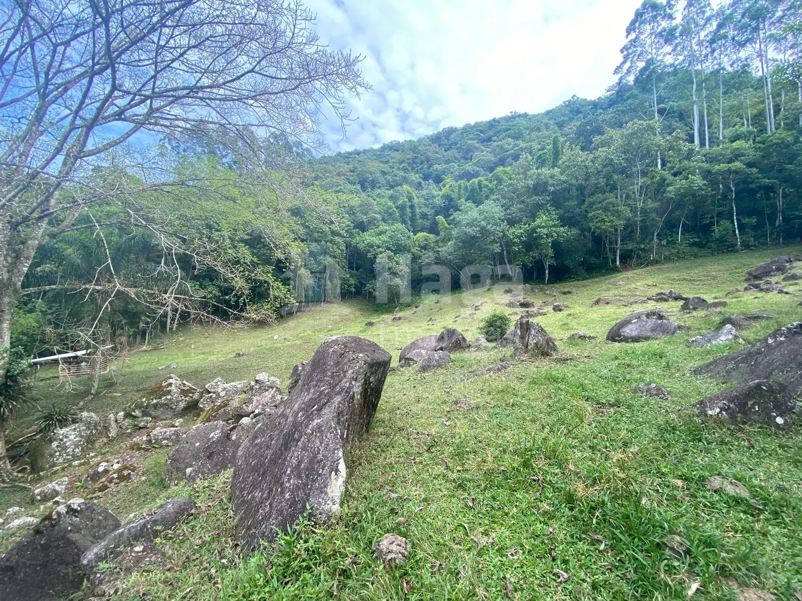 Fazenda à venda de 4 ha em Nova Trento, SC, Brasil