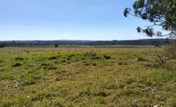 Fazenda à venda de 375 ha em Angatuba, SP, Brasil