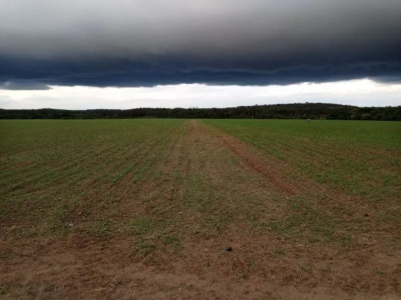 Fazenda à venda de 375 ha em Angatuba, SP, Brasil