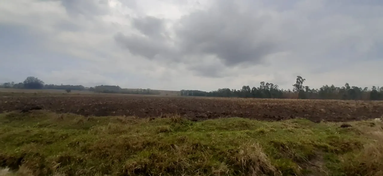 Fazenda à venda de 375 ha em Angatuba, SP, Brasil
