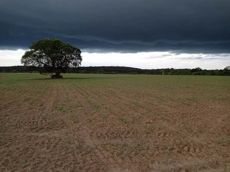 Fazenda à venda de 375 ha em Angatuba, SP, Brasil