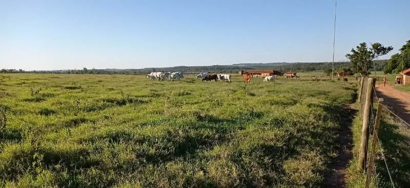Fazenda à venda de 375 ha em Angatuba, SP, Brasil