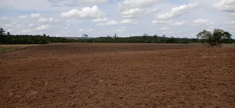 Fazenda à venda de 375 ha em Angatuba, SP, Brasil