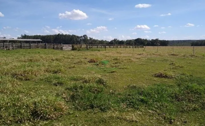 Fazenda à venda de 375 ha em Angatuba, SP, Brasil