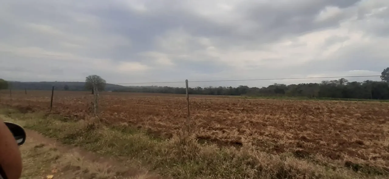 Fazenda à venda de 375 ha em Angatuba, SP, Brasil