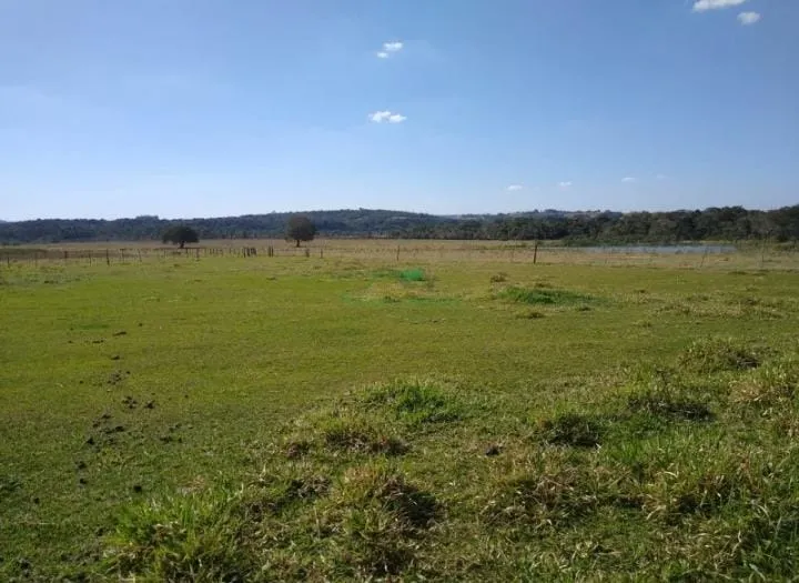 Fazenda à venda de 375 ha em Angatuba, SP, Brasil