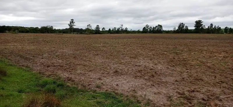 Fazenda à venda de 375 ha em Angatuba, SP, Brasil