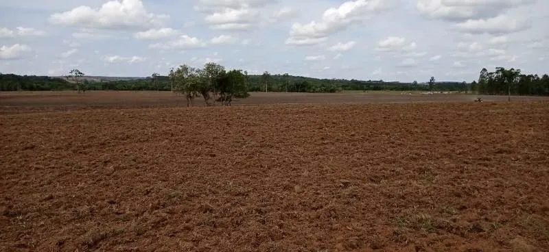 Fazenda à venda de 375 ha em Angatuba, SP, Brasil
