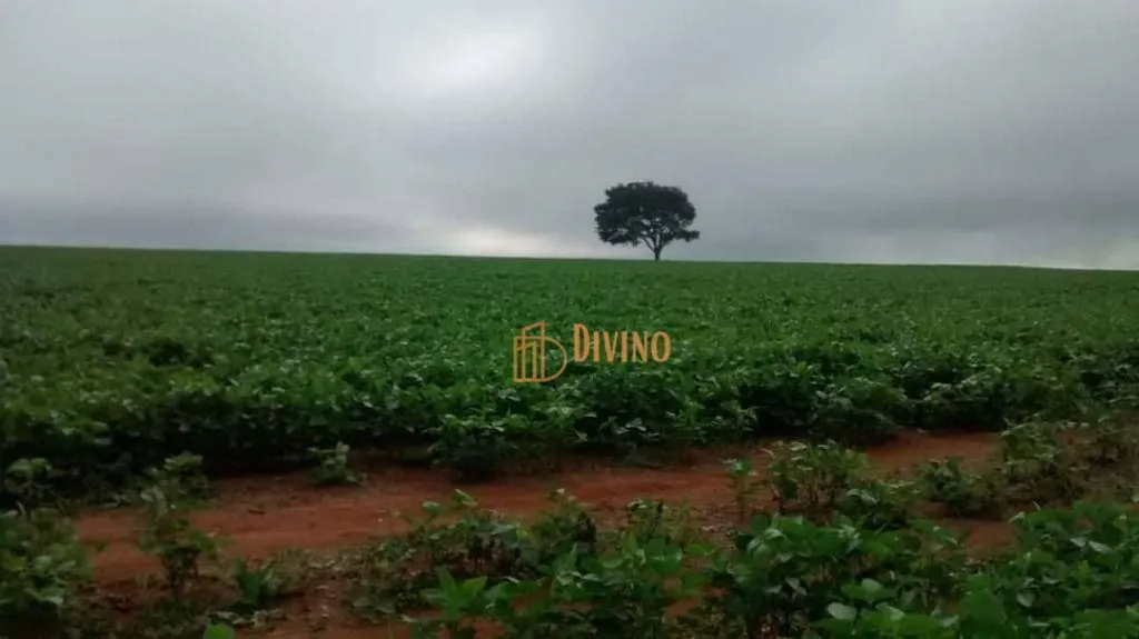 Fazenda à venda de 1.457 ha em Itapetininga, SP, Brasil