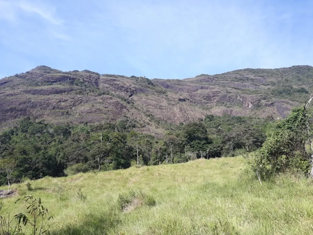 Terreno à venda de 6 ha em Miradouro, MG, Brasil