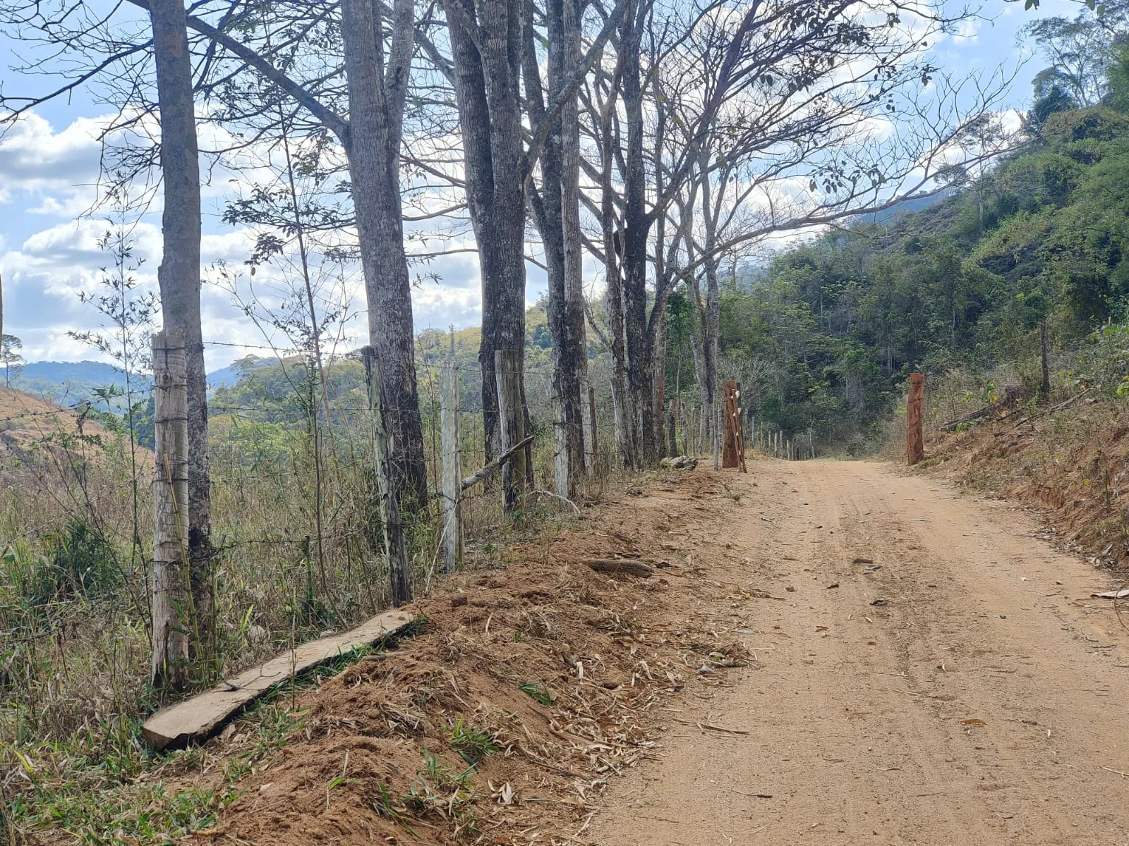 Fazenda à venda de 275 ha em Além Paraíba, MG, Brasil