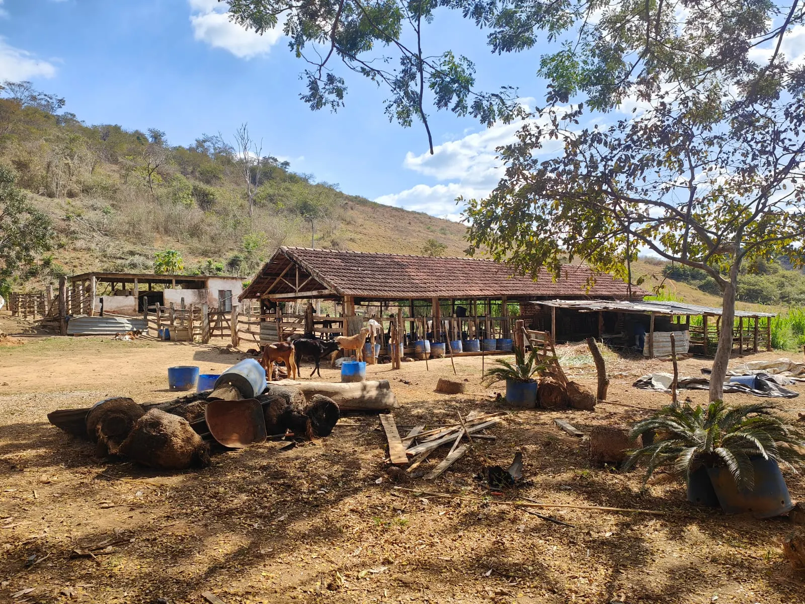 Fazenda à venda de 275 ha em Além Paraíba, MG, Brasil