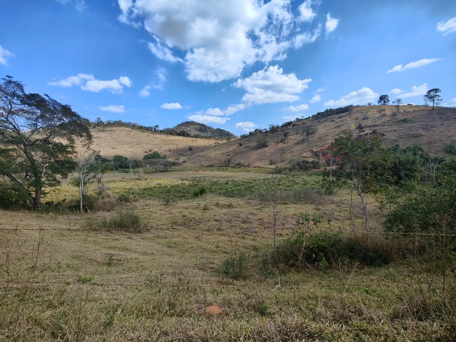 Fazenda à venda de 275 ha em Além Paraíba, MG, Brasil