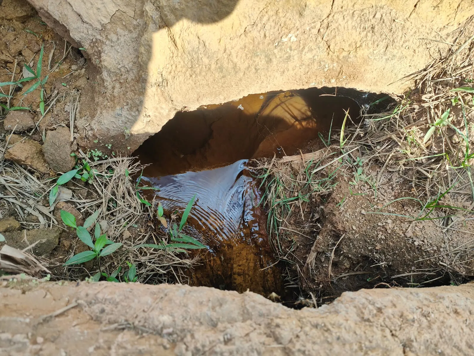 Fazenda à venda de 275 ha em Além Paraíba, MG, Brasil