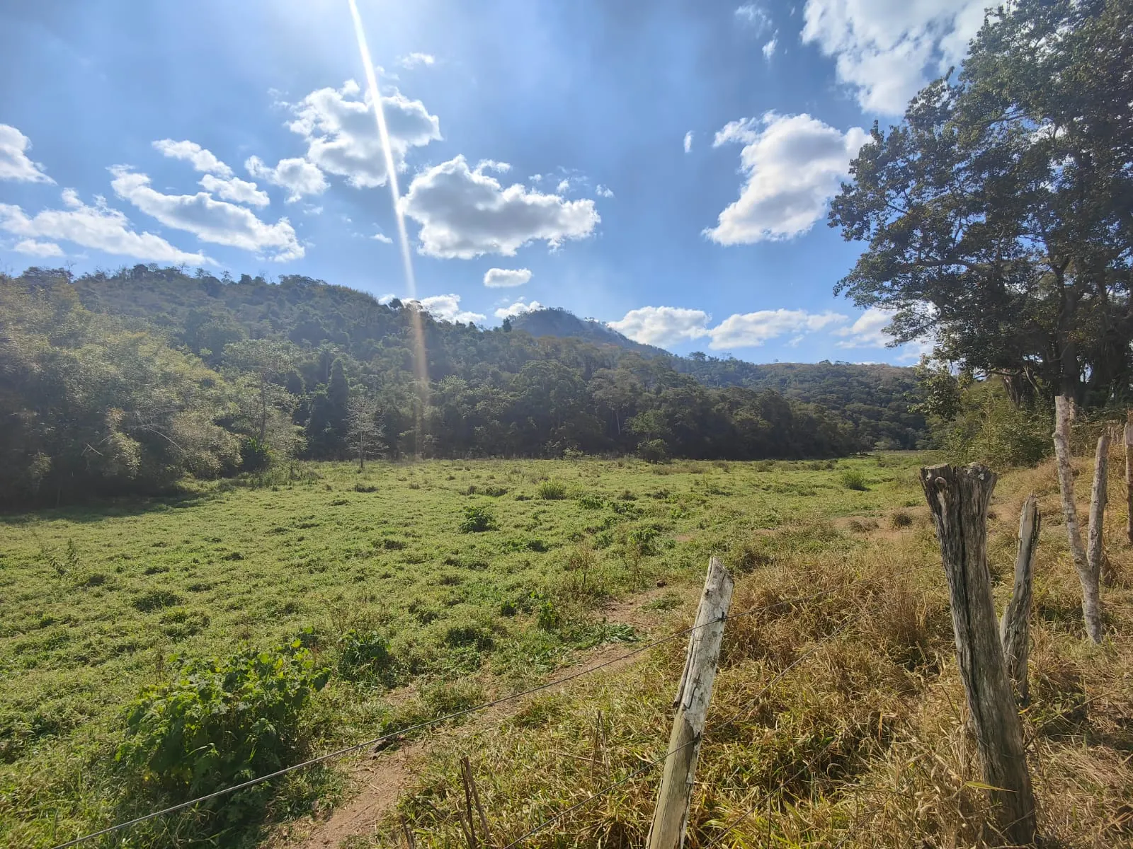 Fazenda à venda de 275 ha em Além Paraíba, MG, Brasil