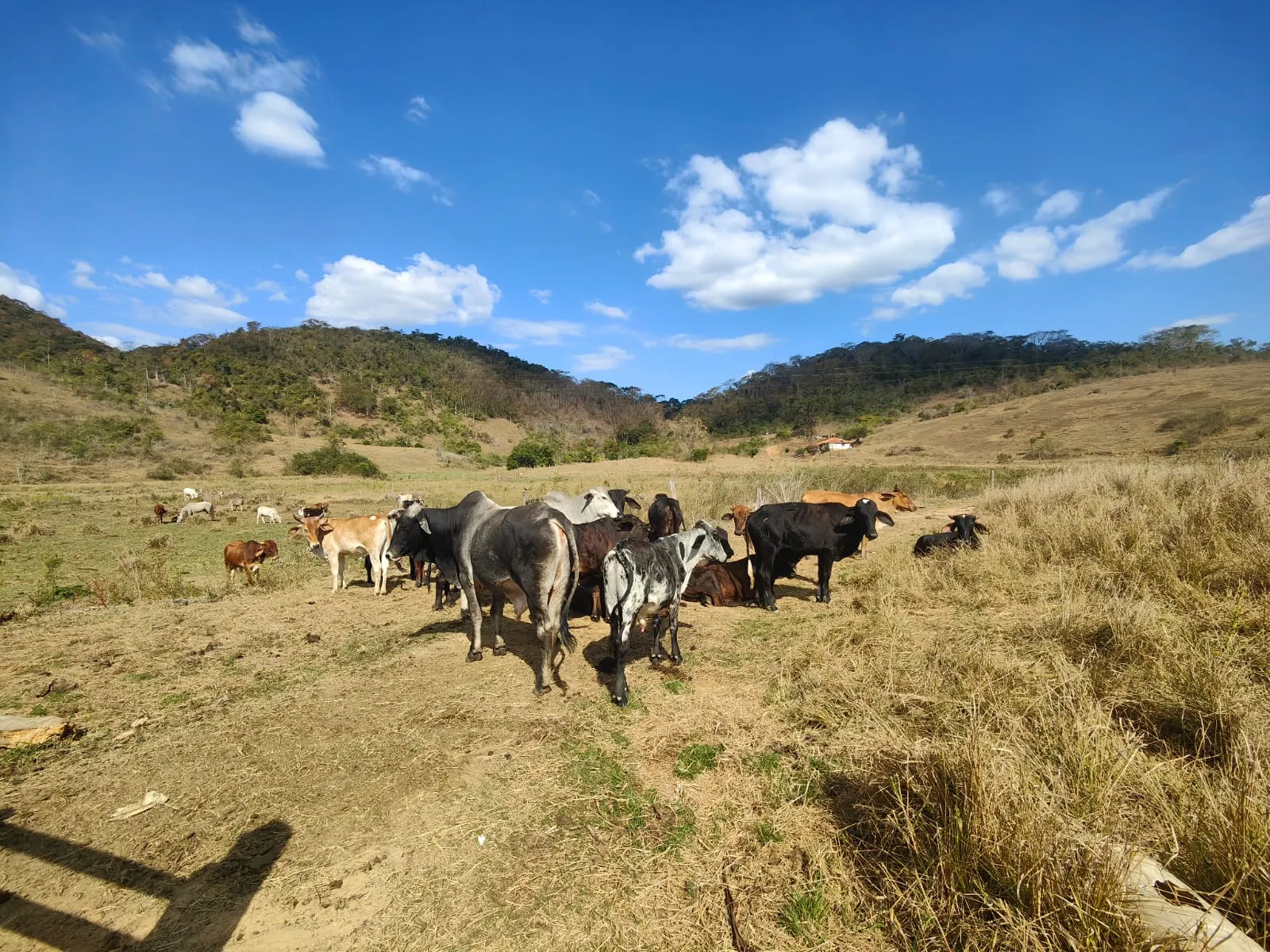 Fazenda à venda de 275 ha em Além Paraíba, MG, Brasil