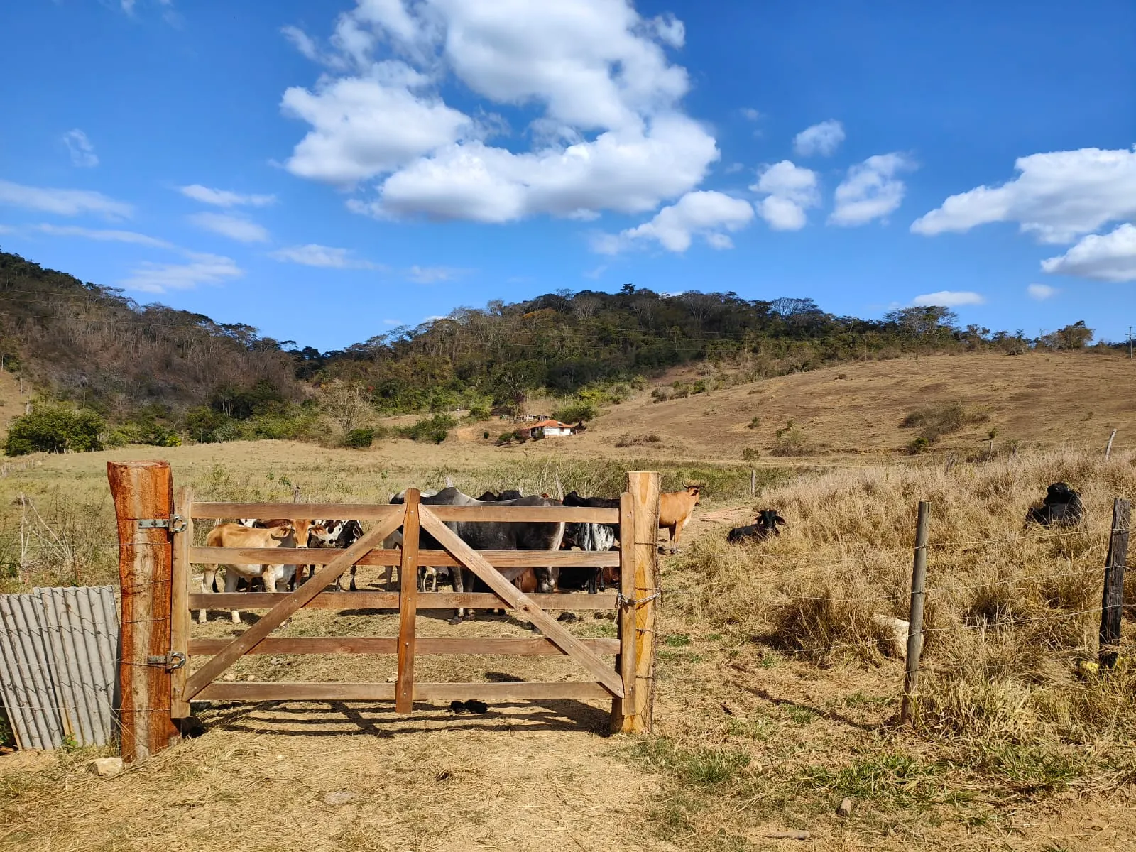 Fazenda à venda de 275 ha em Além Paraíba, MG, Brasil