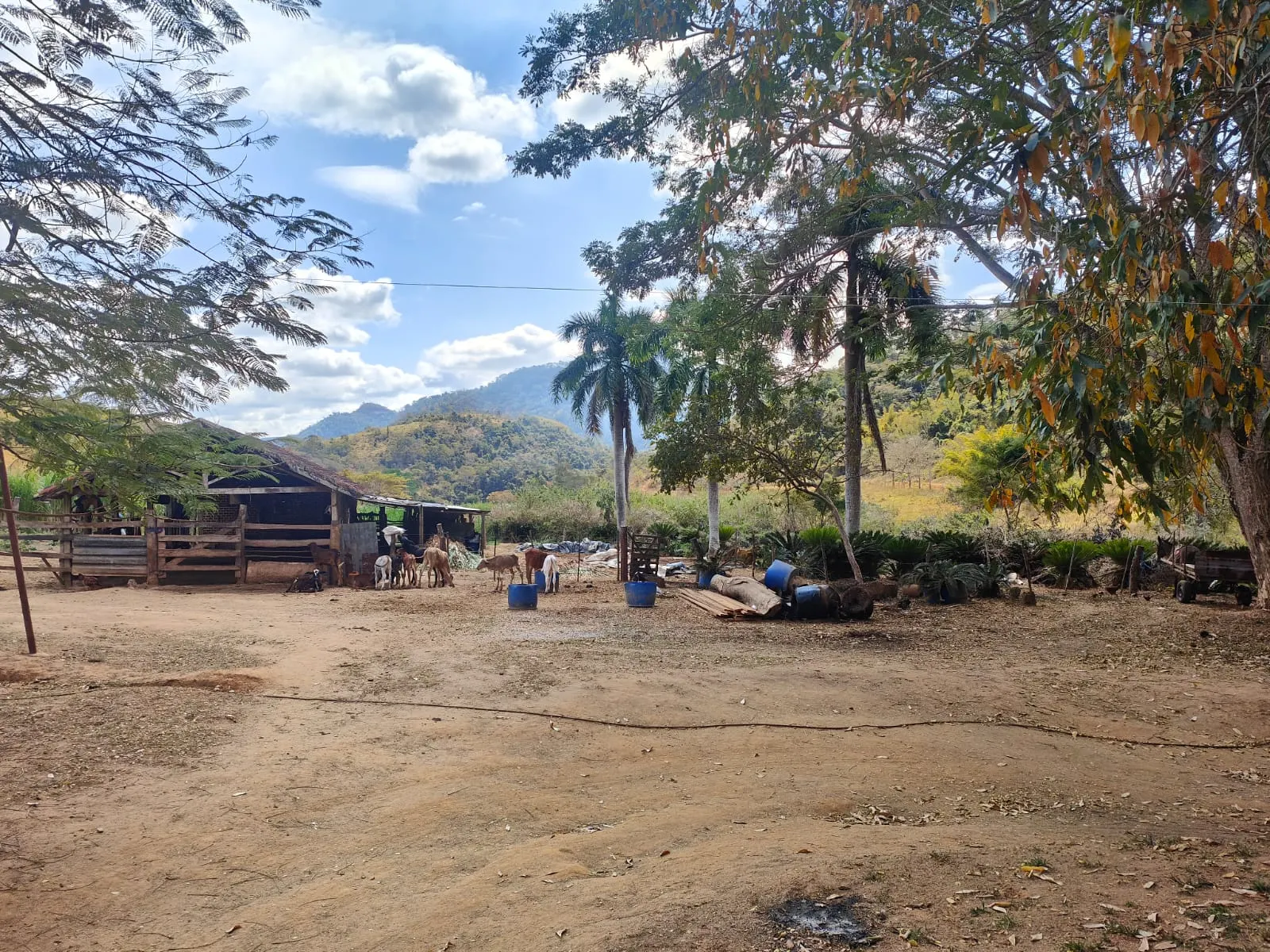Fazenda à venda de 275 ha em Além Paraíba, MG, Brasil