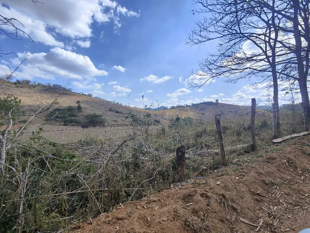 Fazenda à venda de 275 ha em Além Paraíba, MG, Brasil