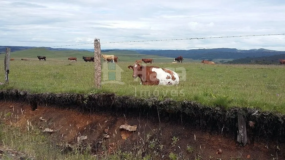 Fazenda à venda de 77 ha em Bom Jardim da Serra, SC, Brasil