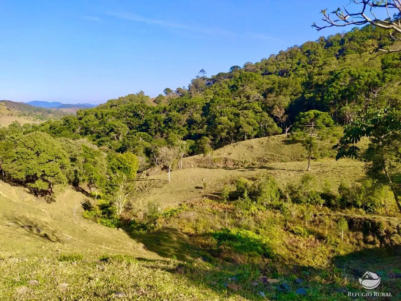 Terreno à venda de 4 ha em São Bento do Sapucaí, SP, Brasil