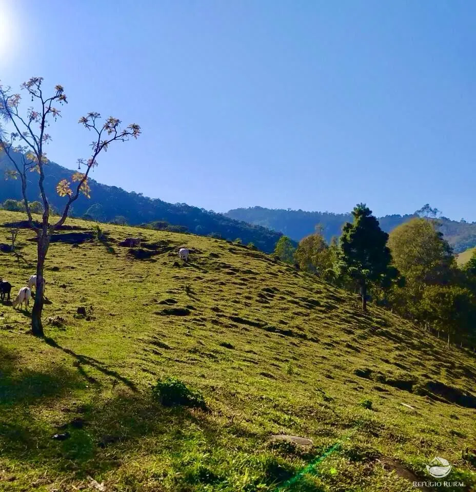 Terreno à venda de 4 ha em São Bento do Sapucaí, SP, Brasil