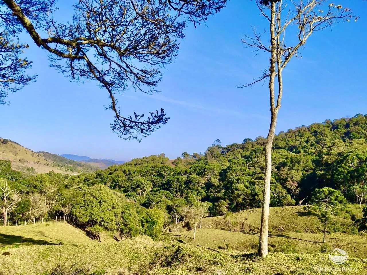 Terreno à venda de 4 ha em São Bento do Sapucaí, SP, Brasil