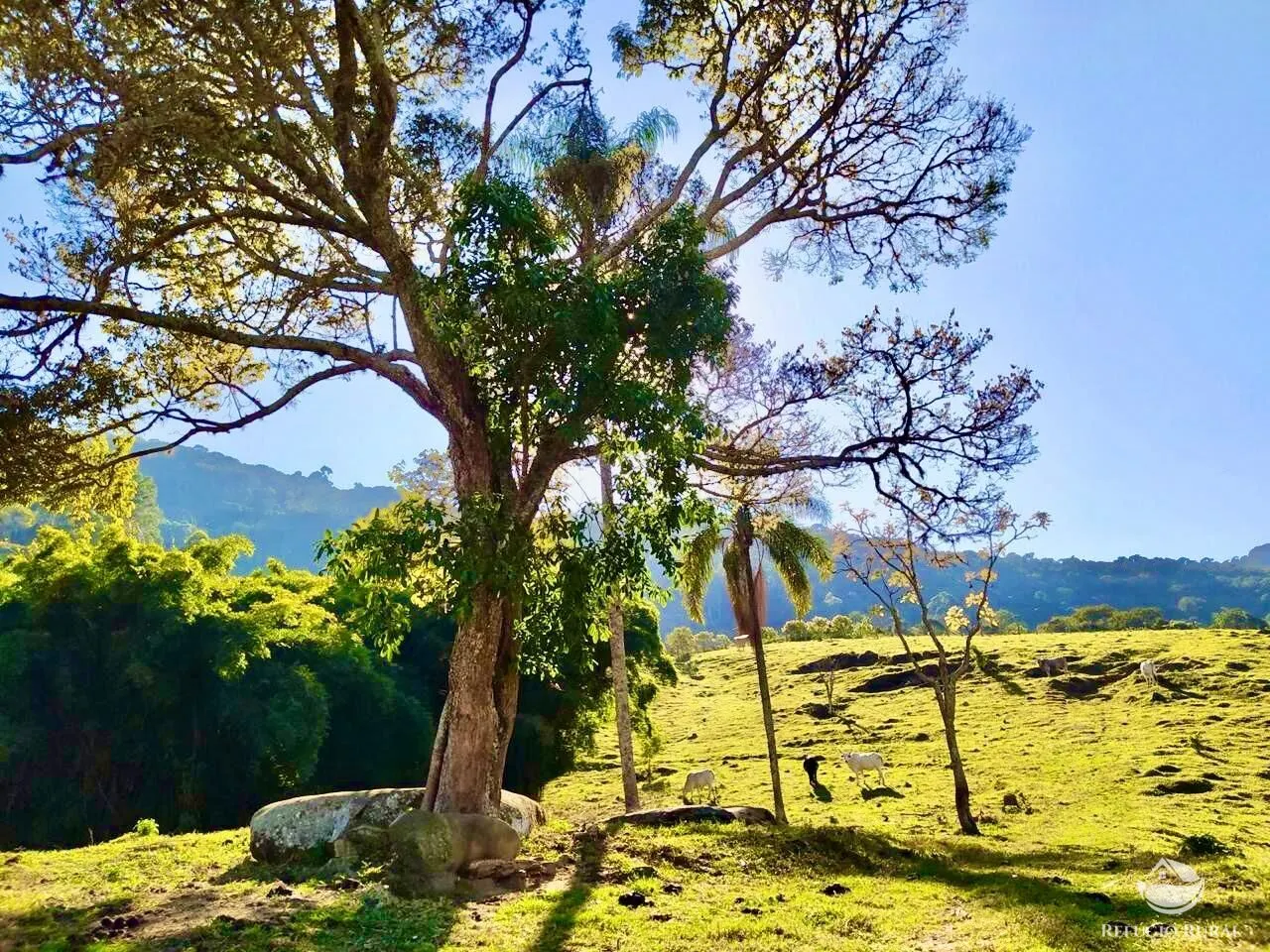Terreno à venda de 4 ha em São Bento do Sapucaí, SP, Brasil