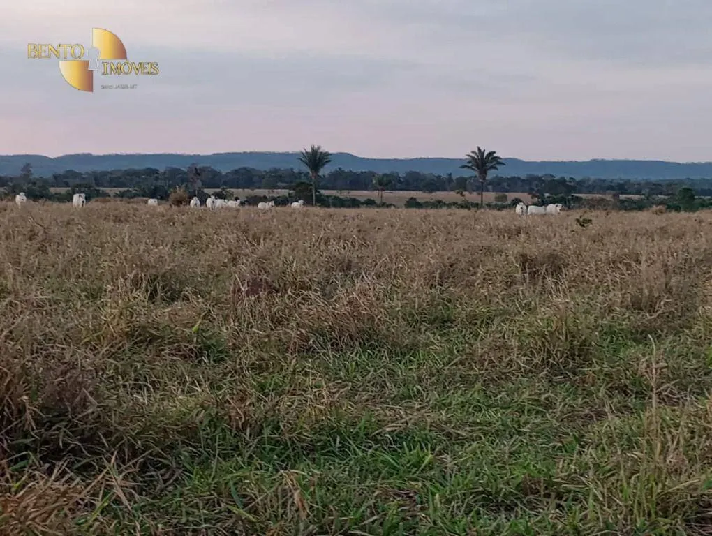 Fazenda à venda de 400 ha em Tangará da Serra, MT, Brasil
