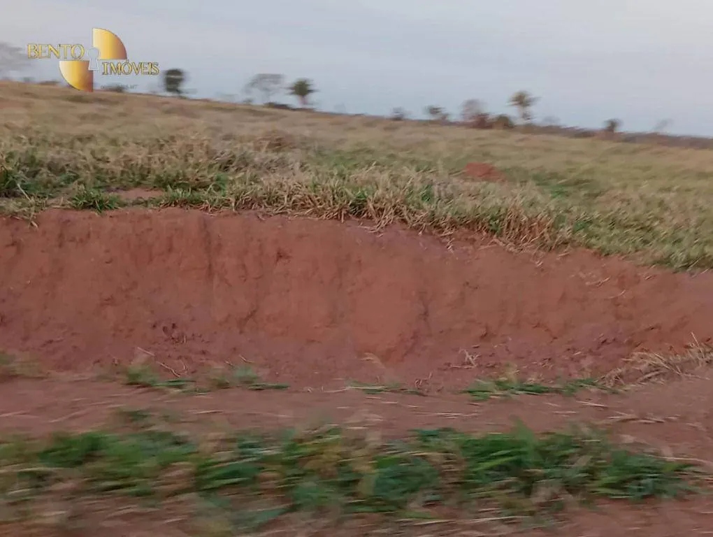 Fazenda à venda de 400 ha em Tangará da Serra, MT, Brasil