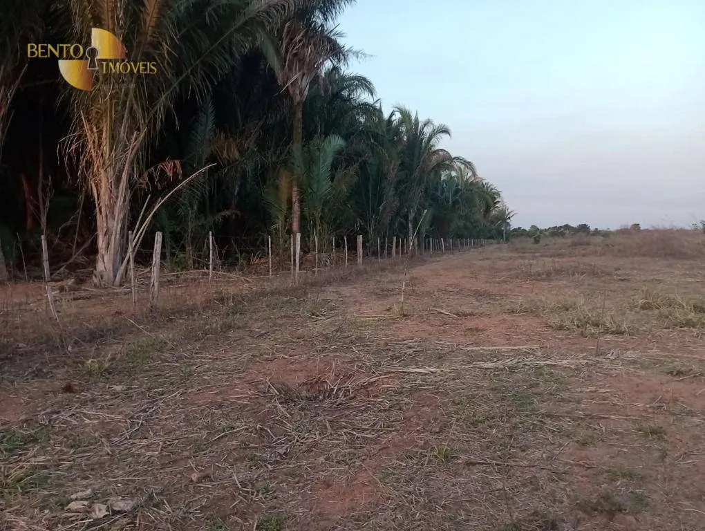 Fazenda à venda de 400 ha em Tangará da Serra, MT, Brasil