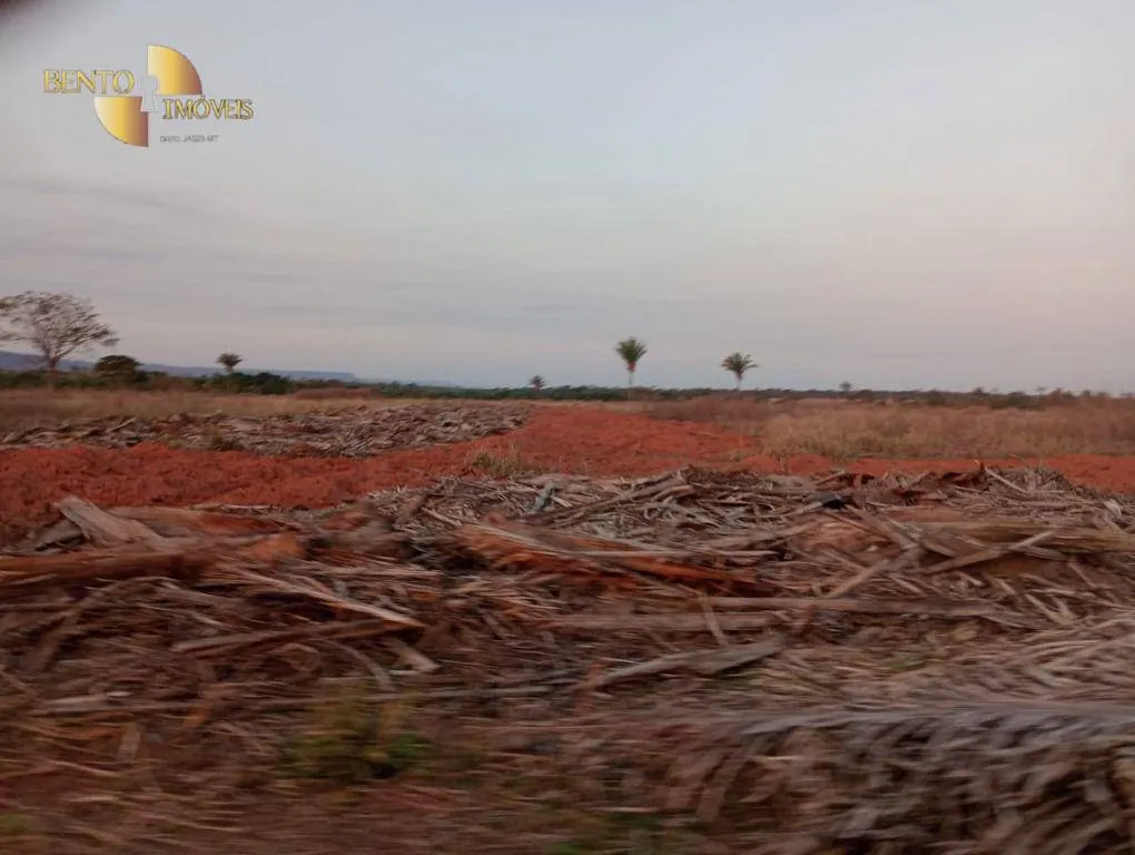 Fazenda à venda de 400 ha em Tangará da Serra, MT, Brasil