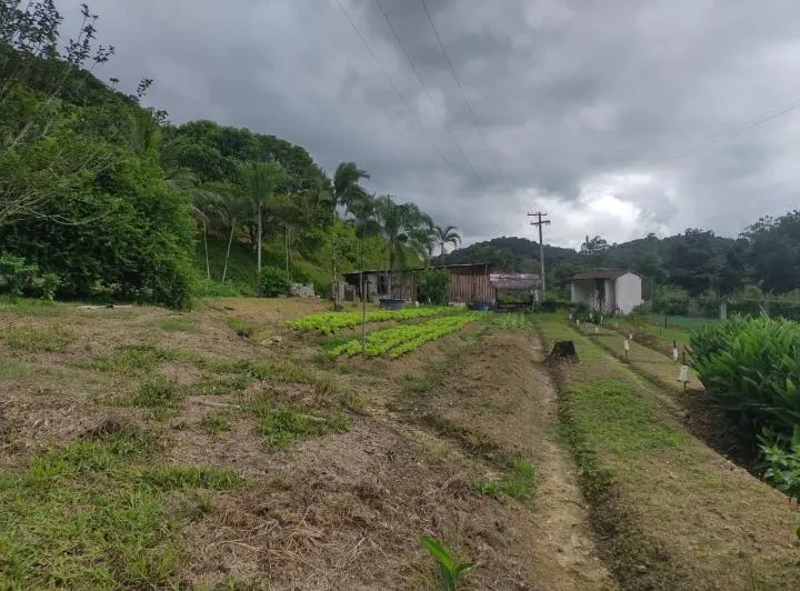 Sítio à venda de 39 ha em Juquiá, SP, Brasil