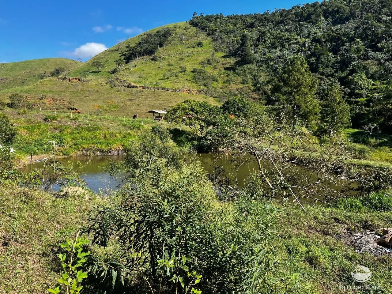 Fazenda à venda de 1.185 ha em São José do Barreiro, SP, Brasil